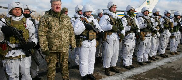 Ukrayna lideri Pyotr Poroşenko - Sputnik Türkiye