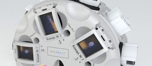 Organaut yazıcısı - Sputnik Türkiye