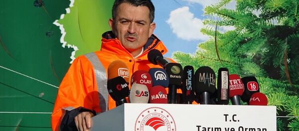 Tarım ve Orman Bakanı Dr. Bekir Pakdemirli - Sputnik Türkiye