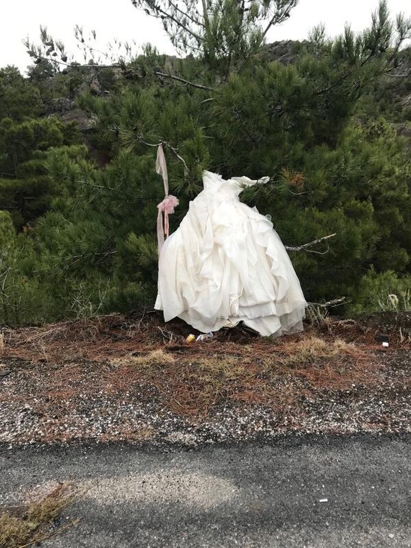 Daha önce gelin adaylarına kiralandığı düşünülen gelinliklerin, kim ya da kimler tarafından ormanlık alana atıldığı ise belirlenmedi. - Sputnik Türkiye