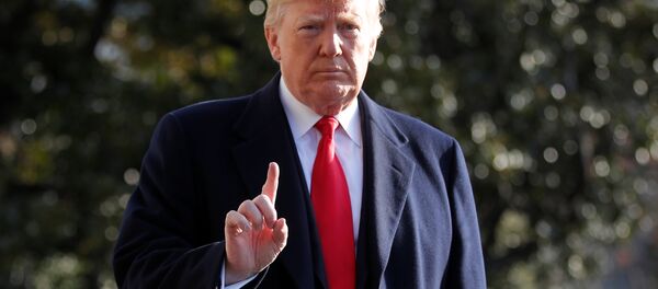 ABD Başkanı Donald Trump - Sputnik Türkiye
