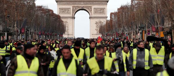 Sarı Yelekler - Sputnik Türkiye