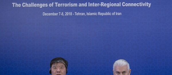 TBMM Başkanı Binali Yıldırım TBMM Başkanı Binali Yıldırım - Sputnik Türkiye