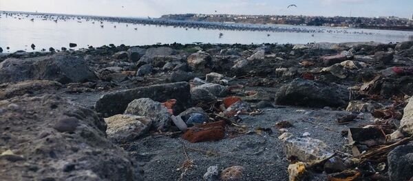Silivri sahil şeridinde, deniz suyu kıyıdan yaklaşık 25 metre geri çekildi. Silivri sahil şeridinde, deniz suyu kıyıdan yaklaşık 25 metre geri çekildi. - Sputnik Türkiye