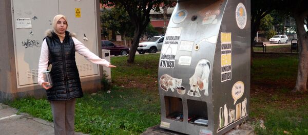 Yavru kedi yakılarak öldürülmüş halde bulundu - Sputnik Türkiye