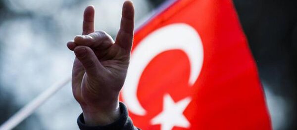 bozkurt - Sputnik Türkiye