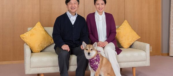 Japon imparatorluk tahtına geçecek olan Veliaht Prens Naruhito ile eşi Veliaht Prenses Masako köpekleri Yuri ile Togu Sarayı'nda gazetecilere poz verirken... - Sputnik Türkiye