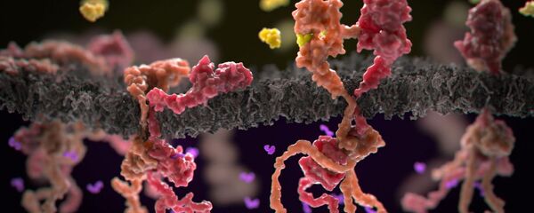 Kanser hücresi - Sputnik Türkiye