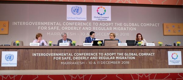 BM Göç Paktı'nı 164 ülke kabul etti - Sputnik Türkiye