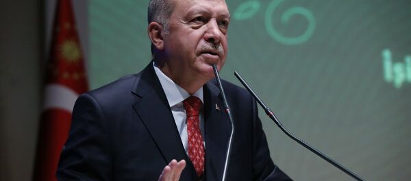 Recep Tayyip Erdoğan - Sputnik Türkiye