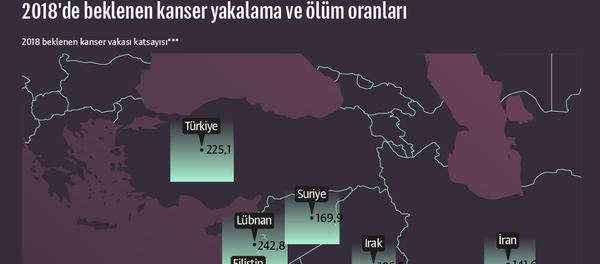 İnfografik - Sputnik Türkiye