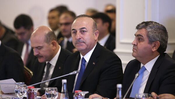 Dışişleri Bakanı Çavuşoğlu - Reform Eylem Grubu'nun 5. Toplantısı - Sputnik Türkiye