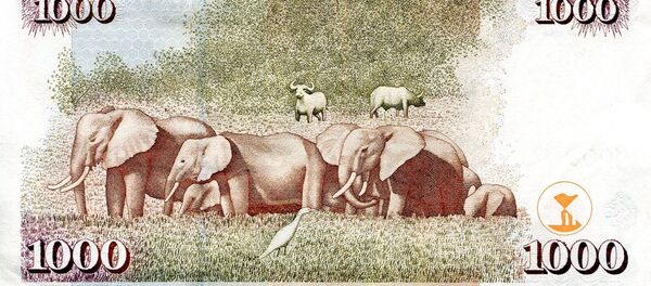 1000 Kenya şilini banknotunun önyüzünde ülkenin ilk lideri Jomo Kenyatta'nın, arka yüzünde Afrika fillerinin resmi var. - Sputnik Türkiye