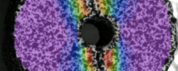 Rus bilim insanları, nükleer yakıt dayanıklılığını test etti - Sputnik Türkiye