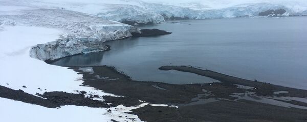 Antartika - Sputnik Türkiye
