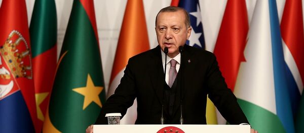 Recep Tayyip Erdoğan - Sputnik Türkiye