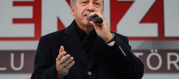 Cumhurbaşkanı Recep Tayyip Erdoğan - Sputnik Türkiye