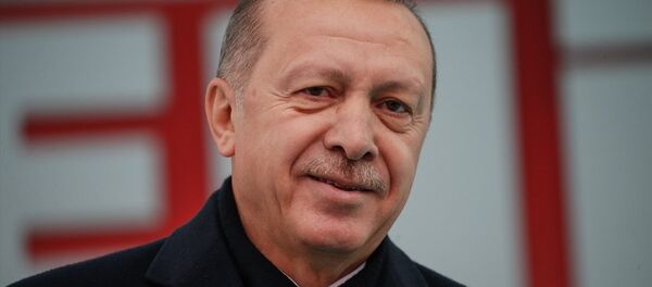 Türkiye Cumhurbaşkanı ve AK Parti Genel Başkanı Recep Tayyip Erdoğan - Sputnik Türkiye