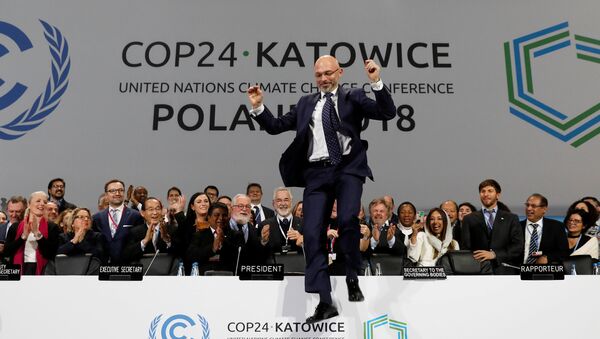 BM İklim Değişikliği Çerçeve Sözleşmesi 24. Taraflar Konferansı (COP24) olarak adlandırılan toplantı - Sputnik Türkiye