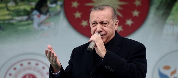 Türkiye Cumhurbaşkanı Recep Tayyip Erdoğan - Sputnik Türkiye