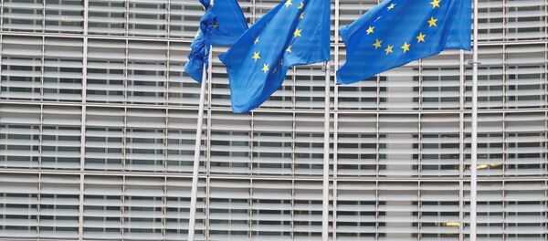 Brüksel'deki göçmen karşıtı protestocular Avrupa Komisyonu önünde AB bayraklarını indirmeye ve binanın içine baskın düzenlemeye çalıştı. - Sputnik Türkiye