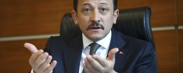 Hamza Dağ - Sputnik Türkiye