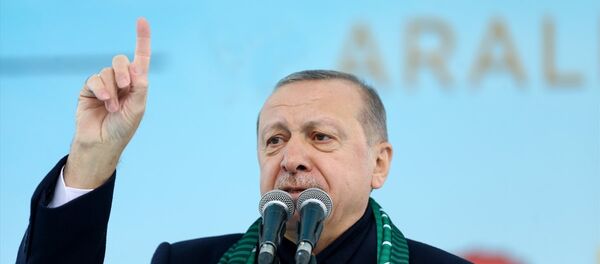 Recep Tayyip Erdoğan - Sputnik Türkiye