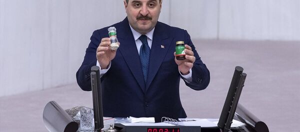 Mustafa Varank - Sputnik Türkiye