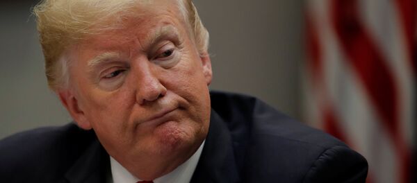 ABD Başkanı Donald Trump - Sputnik Türkiye