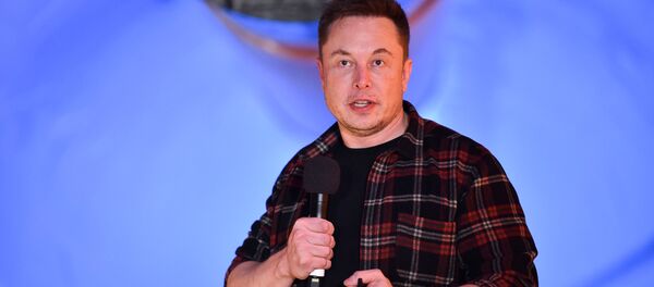 elon musk - Sputnik Türkiye