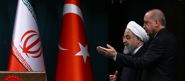 İran Cumhurbaşkanı Hasan Ruhani ile Türkiye Cumhurbaşkanı Recep Tayyip Erdoğan İran Cumhurbaşkanı Hasan Ruhani ile Türkiye Cumhurbaşkanı Recep Tayyip Erdoğan - Sputnik Türkiye