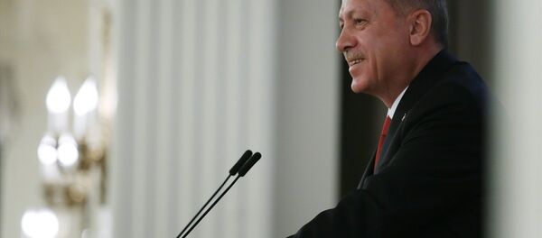 Cumhurbaşkanı Recep Tayyip Erdoğan - Sputnik Türkiye