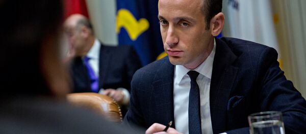 White House senior policy advisor Stephen Miller - Sputnik Türkiye