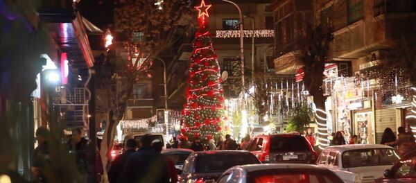 Şam - Sputnik Türkiye