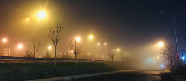 İstanbul'da yoğun sis - Sputnik Türkiye