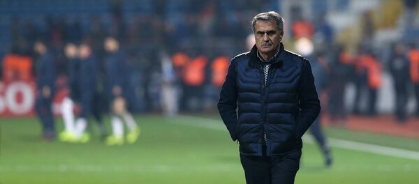 Şenol Güneş - Sputnik Türkiye