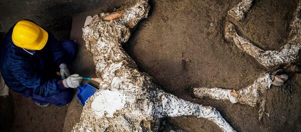 Pompeii - taşlaşmış at kalıntıları bulundu - Sputnik Türkiye