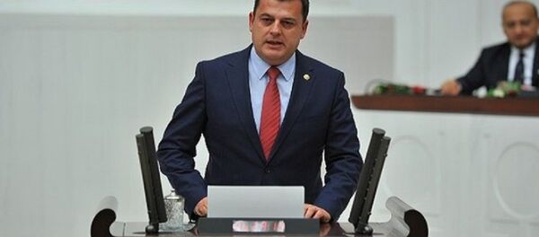 CHP Kırklareli Milletvekili ve Çevre Komisyonu Üyesi Vecdi Gündoğdu - Sputnik Türkiye