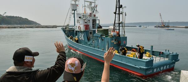 Japonya - balina - Sputnik Türkiye