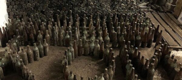 Ankara'da 'toprağa gömülü' 12 bin şişe 'sahte içki' ele geçirildi Ankara'da 'toprağa gömülü' 12 bin şişe 'sahte içki' ele geçirildi - Sputnik Türkiye