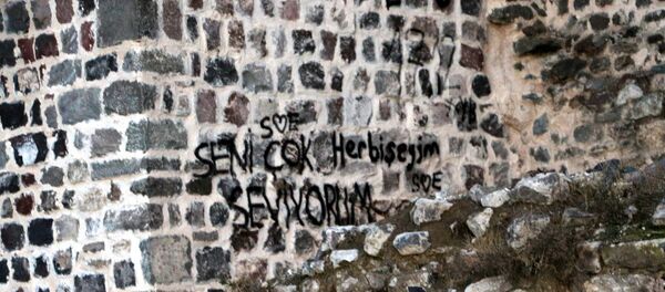 Binlerce yıllık Niksar Kalesi'nin surlarına yazılanlar: Seni çok seviyorum her bir şeyim - Sputnik Türkiye