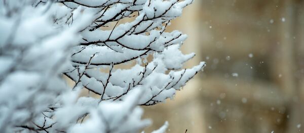 Kar- Kış - Sputnik Türkiye