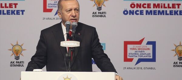 Cumhurbaşkanı Recep Tayyip Erdoğan - Sputnik Türkiye