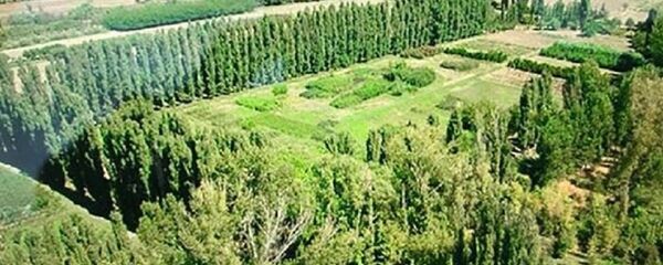 Atatürk Orman Çiftliği - Sputnik Türkiye