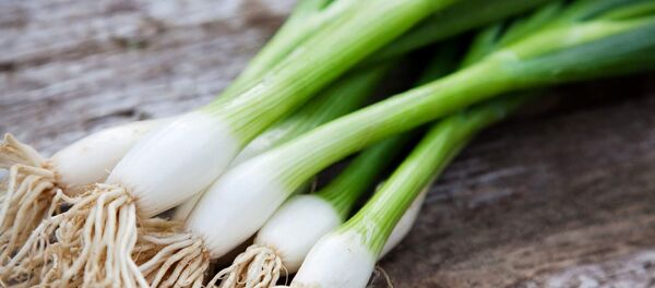 yeşil soğan - Sputnik Türkiye