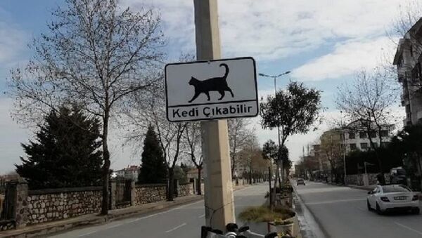 ‘Kedi Çıkabilir’ yazan uyarı levhaları - Sputnik Türkiye