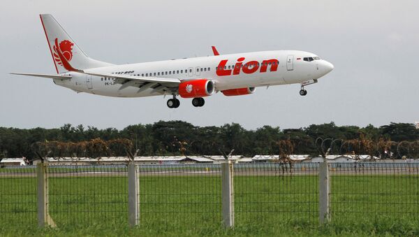 Lion Air havayollarına bağlı Boeing 737 tipi yolcu uçağı - Sputnik Türkiye