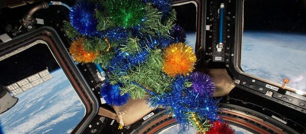 UUİ’de yeni yıl kutlamaları - Sputnik Türkiye