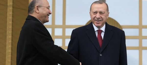 Recep Tayyip Erdoğan - Berhem Salih - Sputnik Türkiye