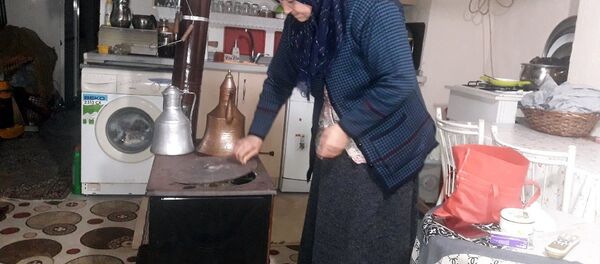 Boş çikolata kutusu aldı diye tazminatsız işten çıkartılan Emine Arık - Sputnik Türkiye